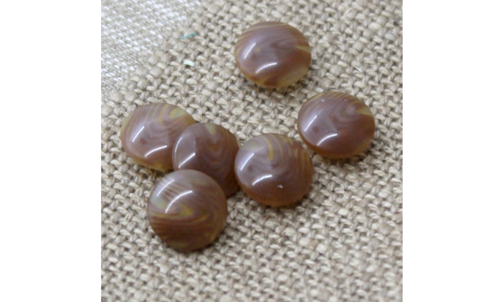 6 boutons / 12MM / Brun très plat