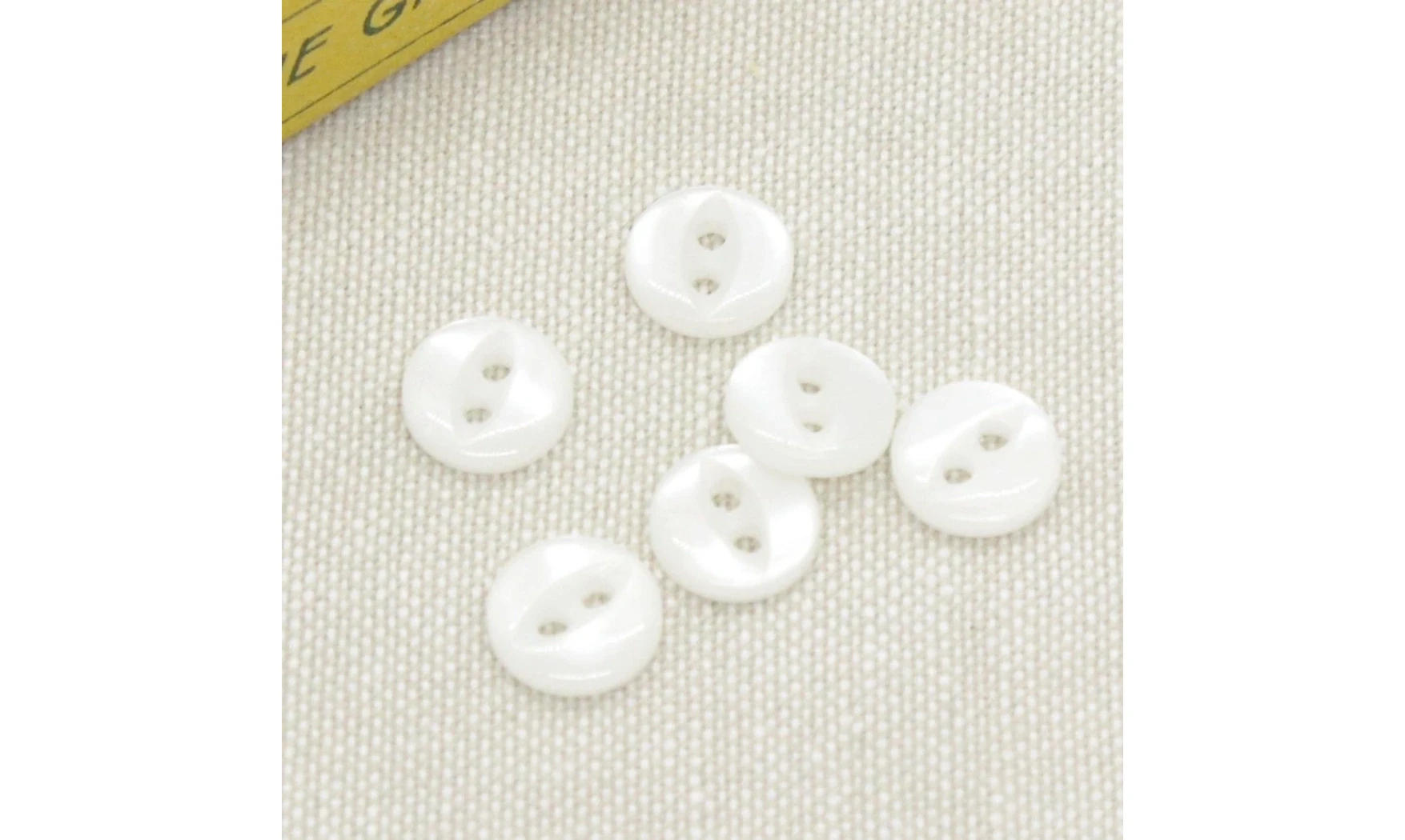 6 boutons / 10MM / Blanc