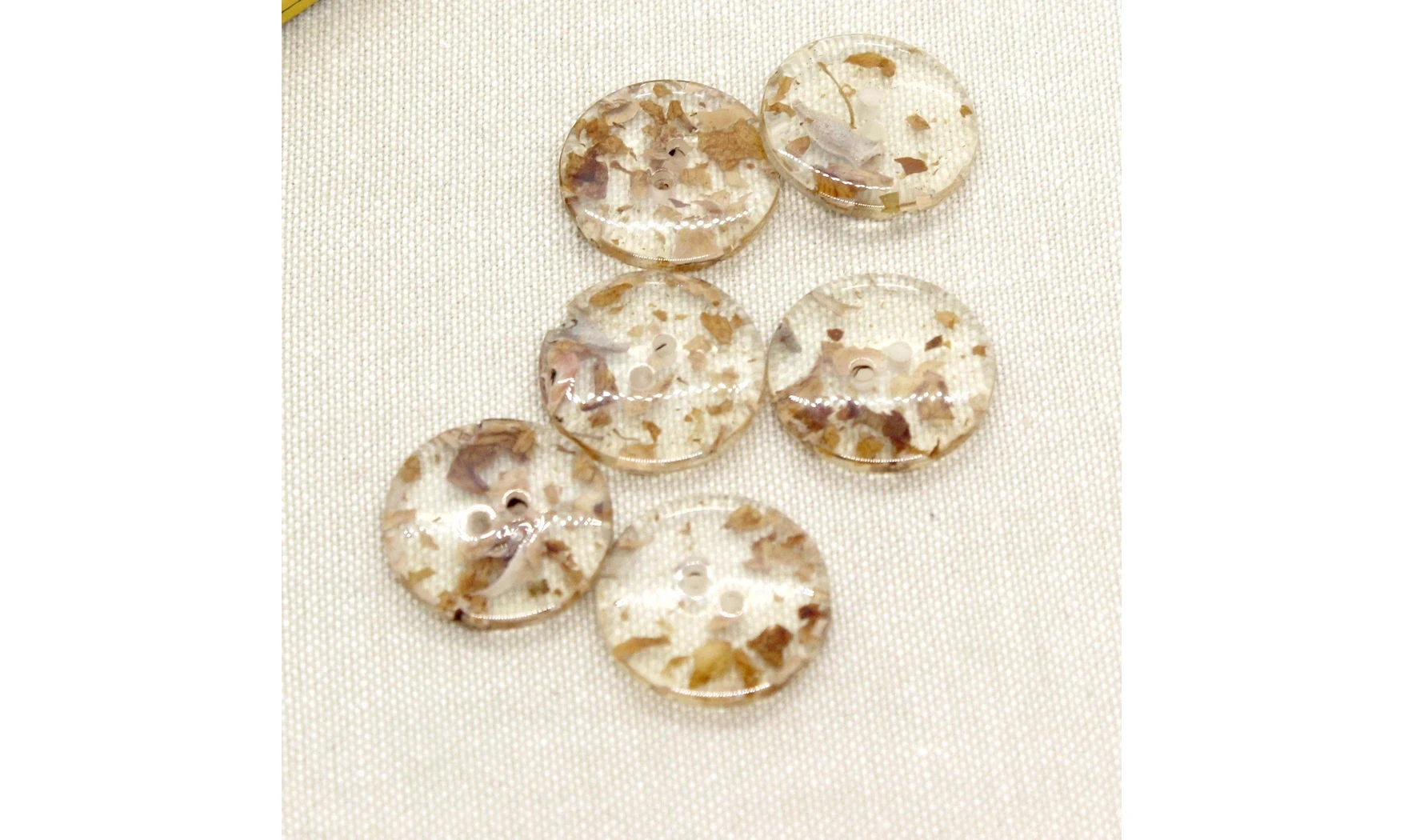 6 boutons / 23MM / Brun