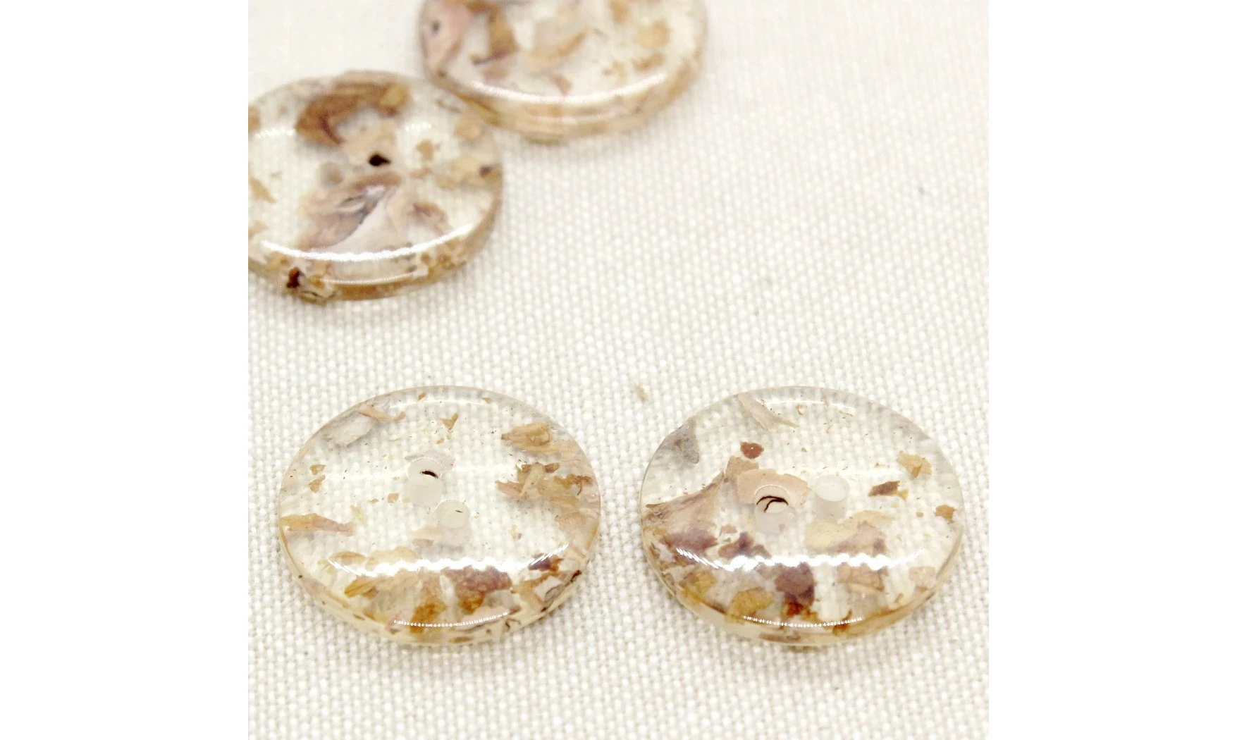 6 boutons / 23MM / Brun