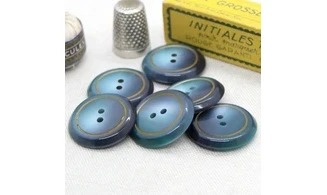 Vintage button Blue