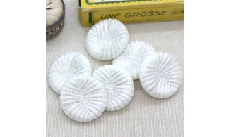 6 boutons / 23MM / Blanc