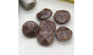 6 boutons / 16MM / Marron "Cuir"