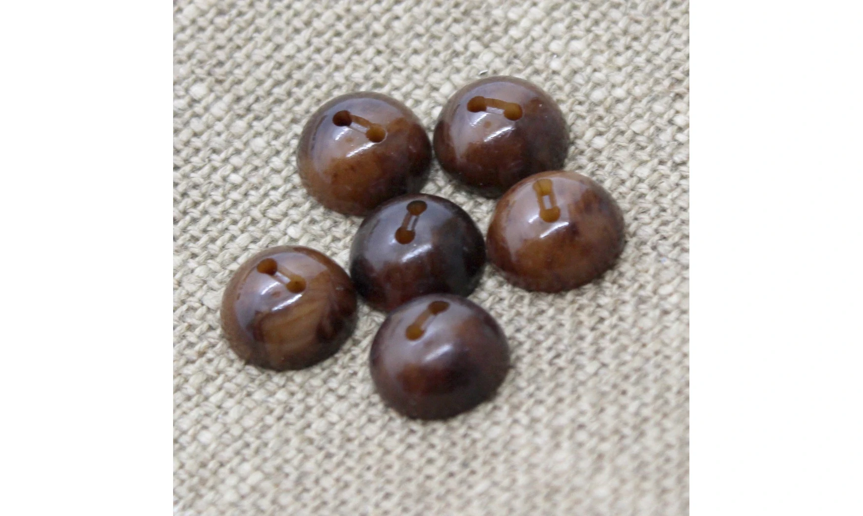 6 boutons / 14MM / Brun Demi sphère