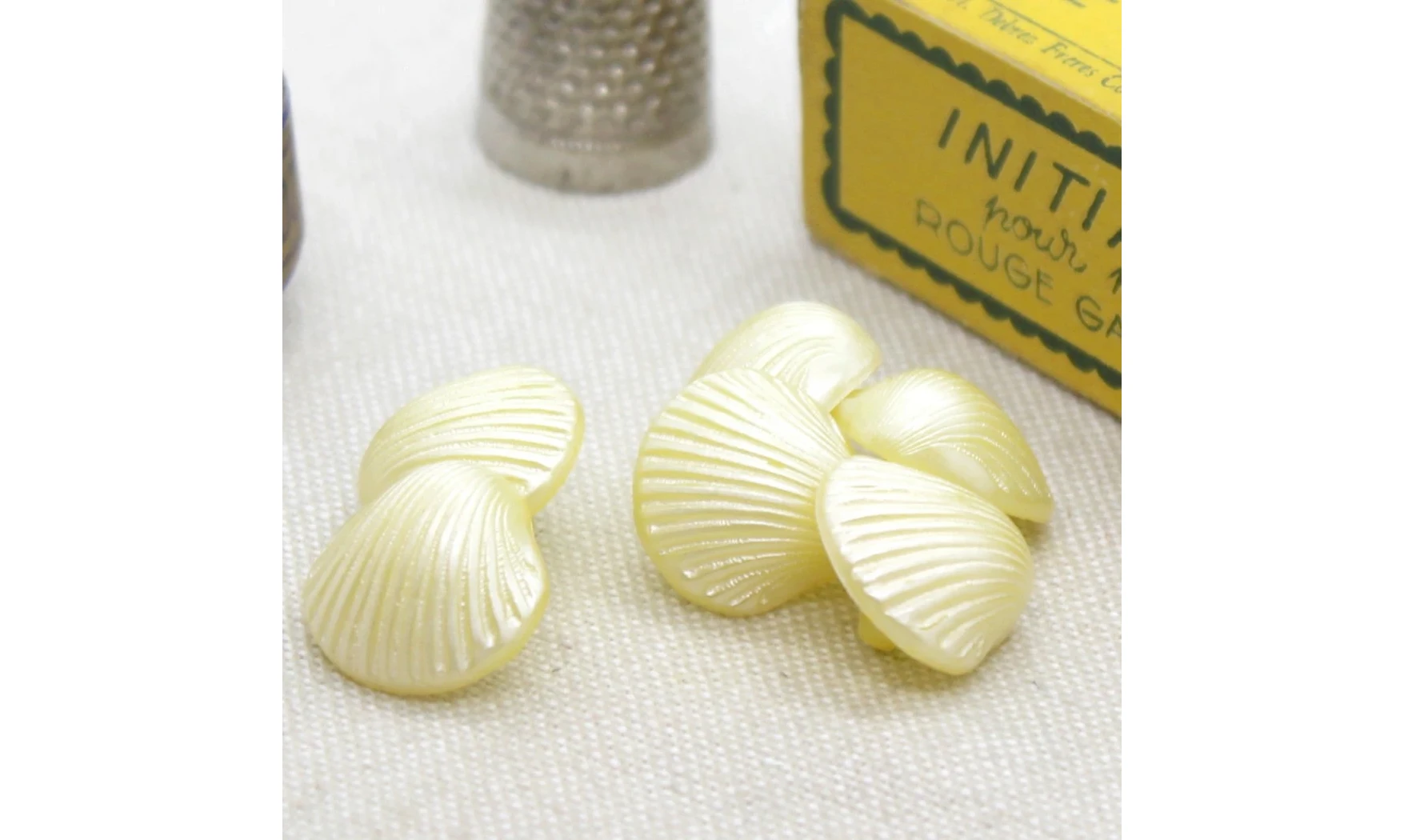 6 boutons / 15MM / Coquillage jaune nacr