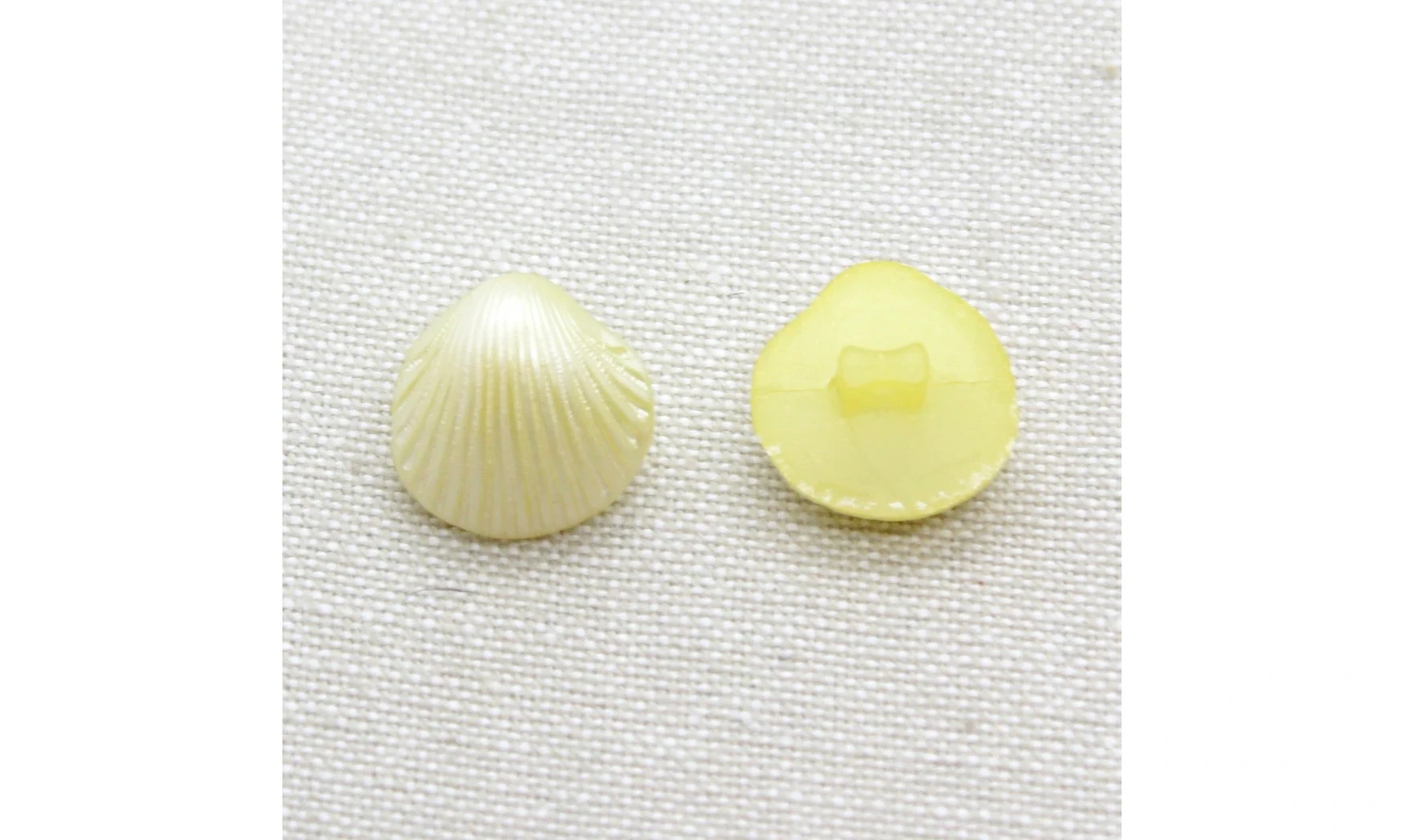 6 boutons / 15MM / Coquillage jaune nacr